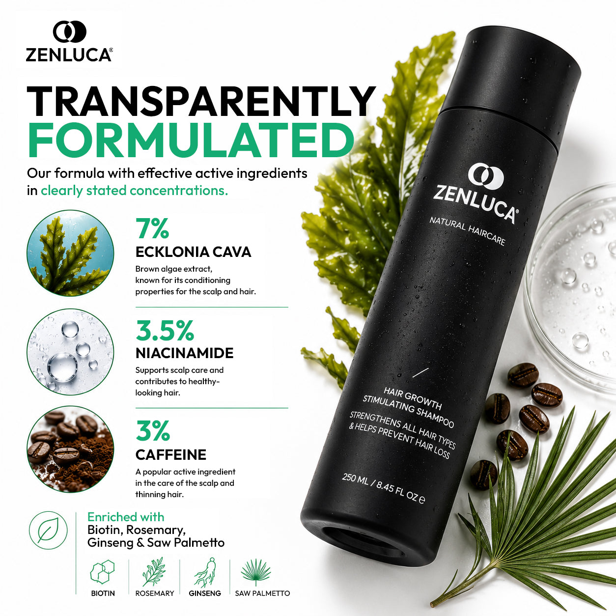 ZENLUCA Hair Growth Stimulating Shampoo with Ecklonia Cava, niacinamide and caffeine for scalp and hair care